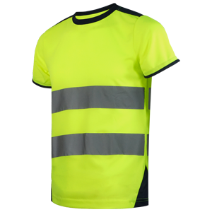 WR.2.361 1678 001.webp